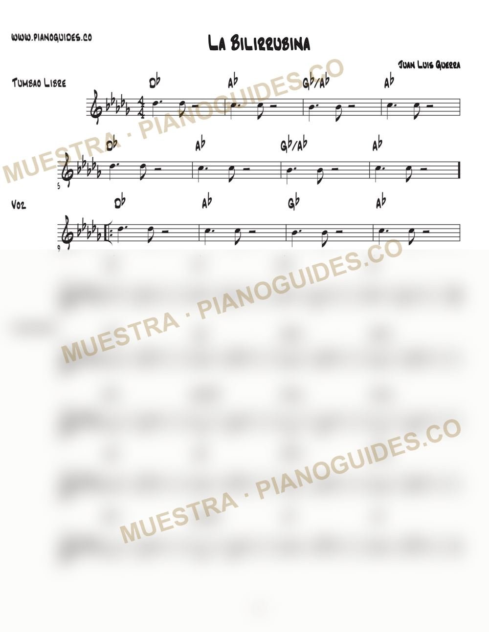 Primera página de la guía La Bilirrubina